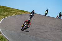 anglesey-no-limits-trackday;anglesey-photographs;anglesey-trackday-photographs;enduro-digital-images;event-digital-images;eventdigitalimages;no-limits-trackdays;peter-wileman-photography;racing-digital-images;trac-mon;trackday-digital-images;trackday-photos;ty-croes